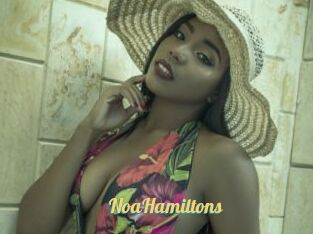 NoaHamiltons