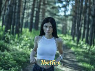 NoelFox