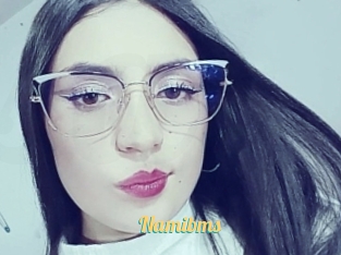 Namibms