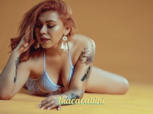Niacavallini