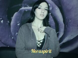 Noraspirit