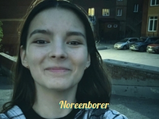 Noreenborer