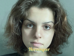 Noreengeer