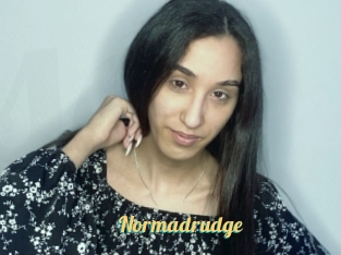 Normadrudge