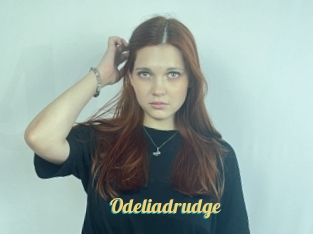 Odeliadrudge