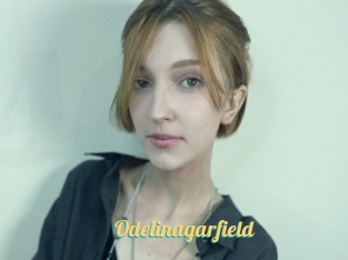 Odelinagarfield