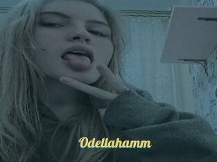 Odellahamm