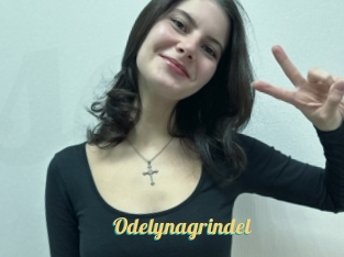 Odelynagrindel
