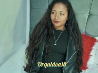 Orquidea18