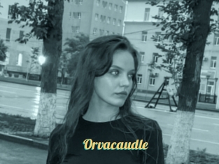 Orvacaudle