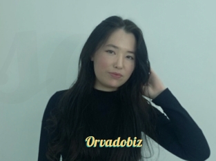 Orvadobiz