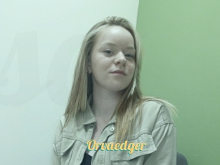 Orvaedger