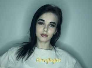Orvafugler