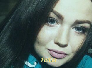 PatCat