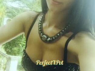 PerfectXPvt_