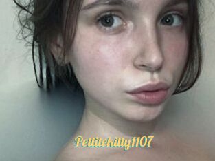 Pettitekitty1107