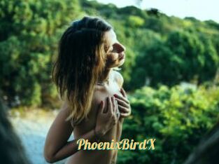 PhoenixBirdX