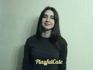 PlayfulCate