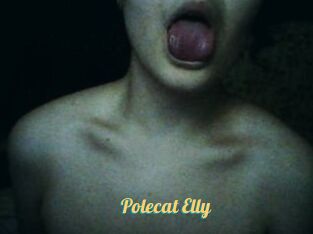 Polecat_Elly