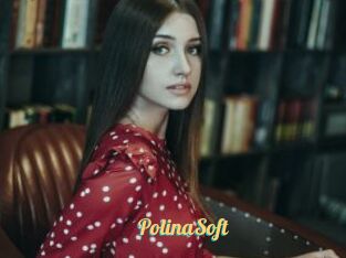 PolinaSoft