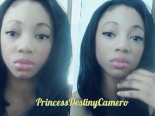 PrincessDestinyCamero