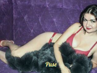 Puse