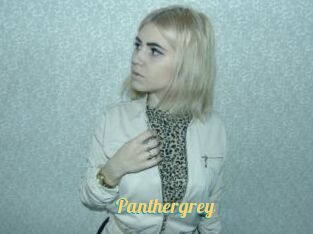 Panthergrey