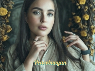 Peacebunyan