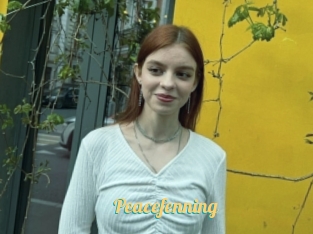 Peacefenning