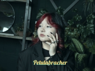 Petulabracher