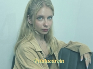 Petulacarvin