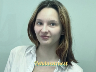 Petulaearnest