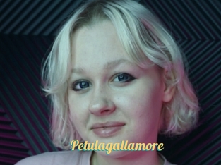 Petulagallamore