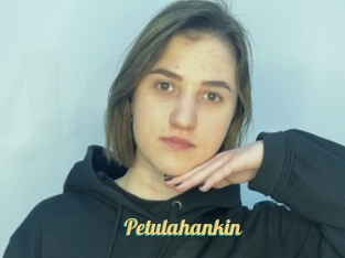 Petulahankin