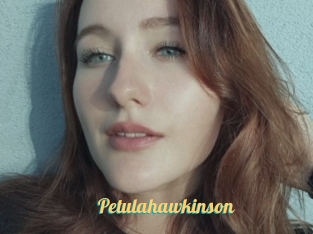 Petulahawkinson