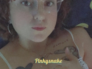 Pinkysnake