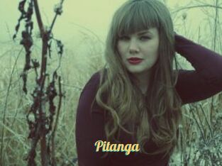 Pitanga