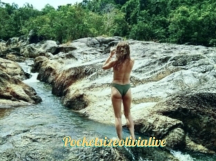 Pocketsizeolivialive