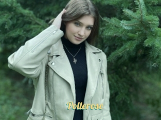 Pollerose