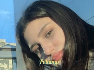 Pollimyr