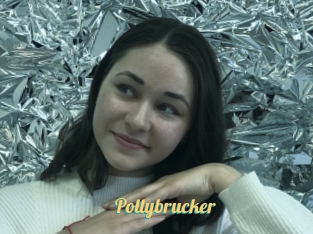 Pollybrucker