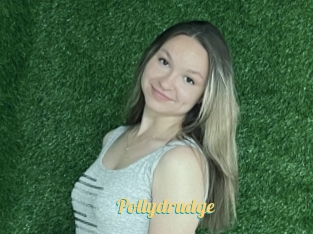 Pollydrudge