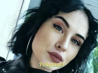 Pollymurs