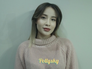 Pollysky