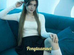 Ponytaamnel