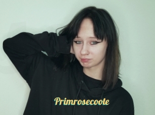 Primrosecoote