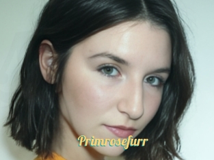 Primrosefurr