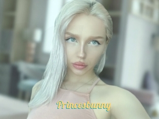 Princesbunny