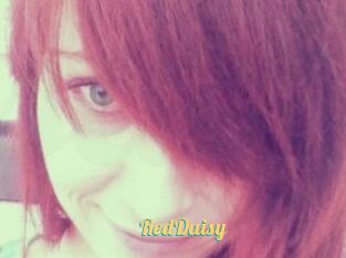 RedDaisy