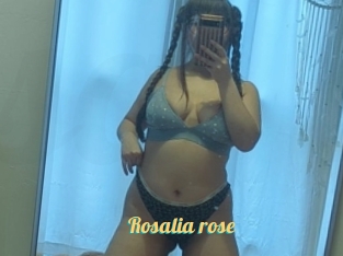Rosalia_rose